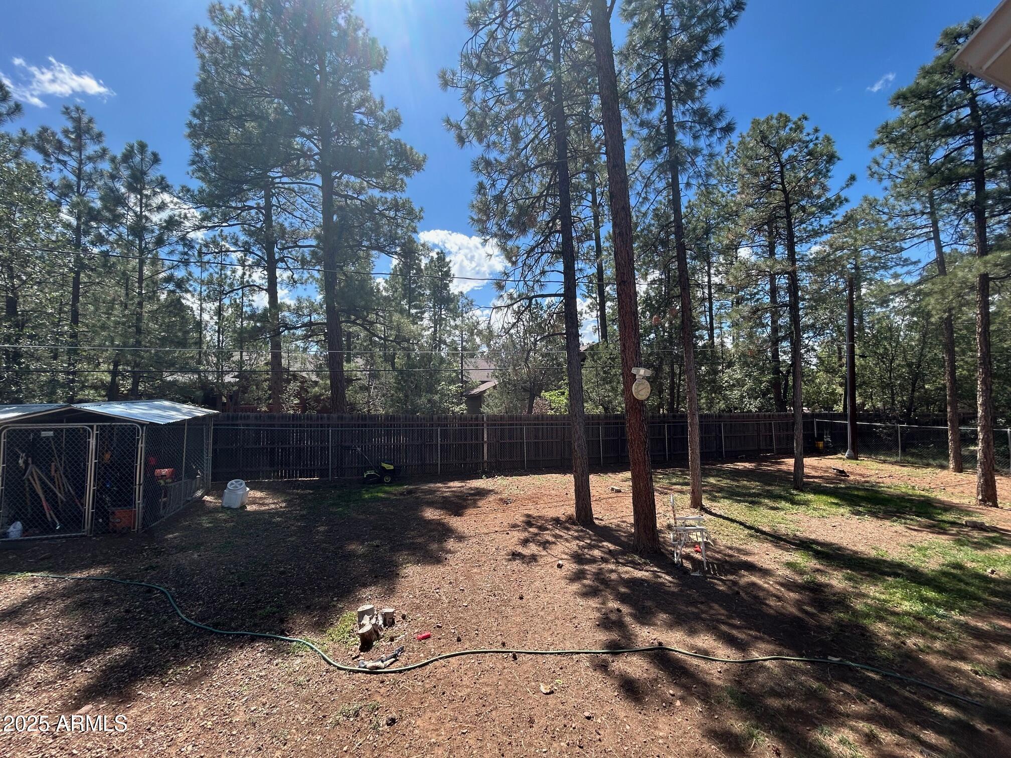 5107 Forest View Road Lakeside, AZ 85929 - Photo 22 of 24 a view of a park with large trees