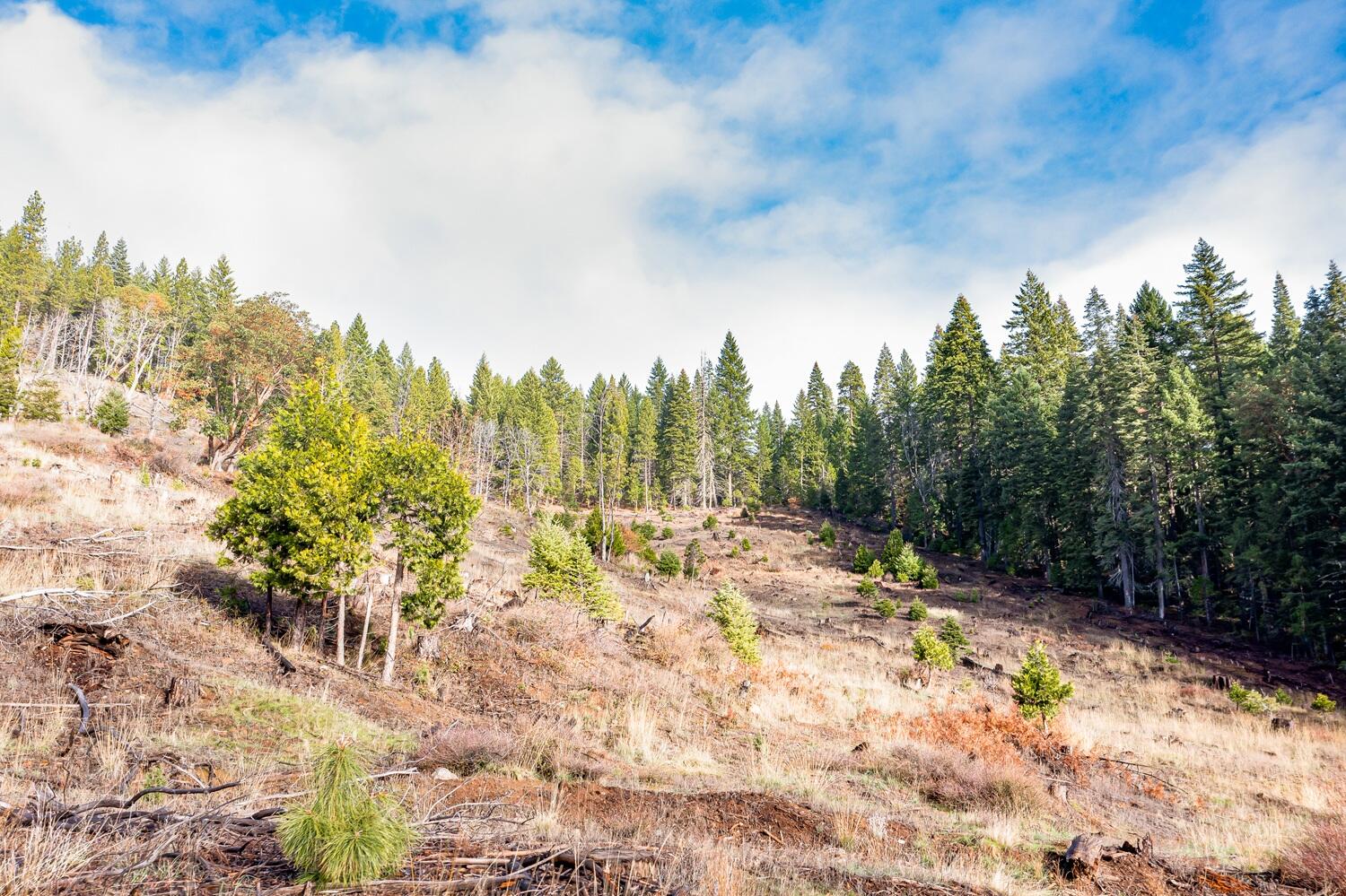 River Road Trail, OR 97541 - Photo 15 of 20 DJI_0966HDR27