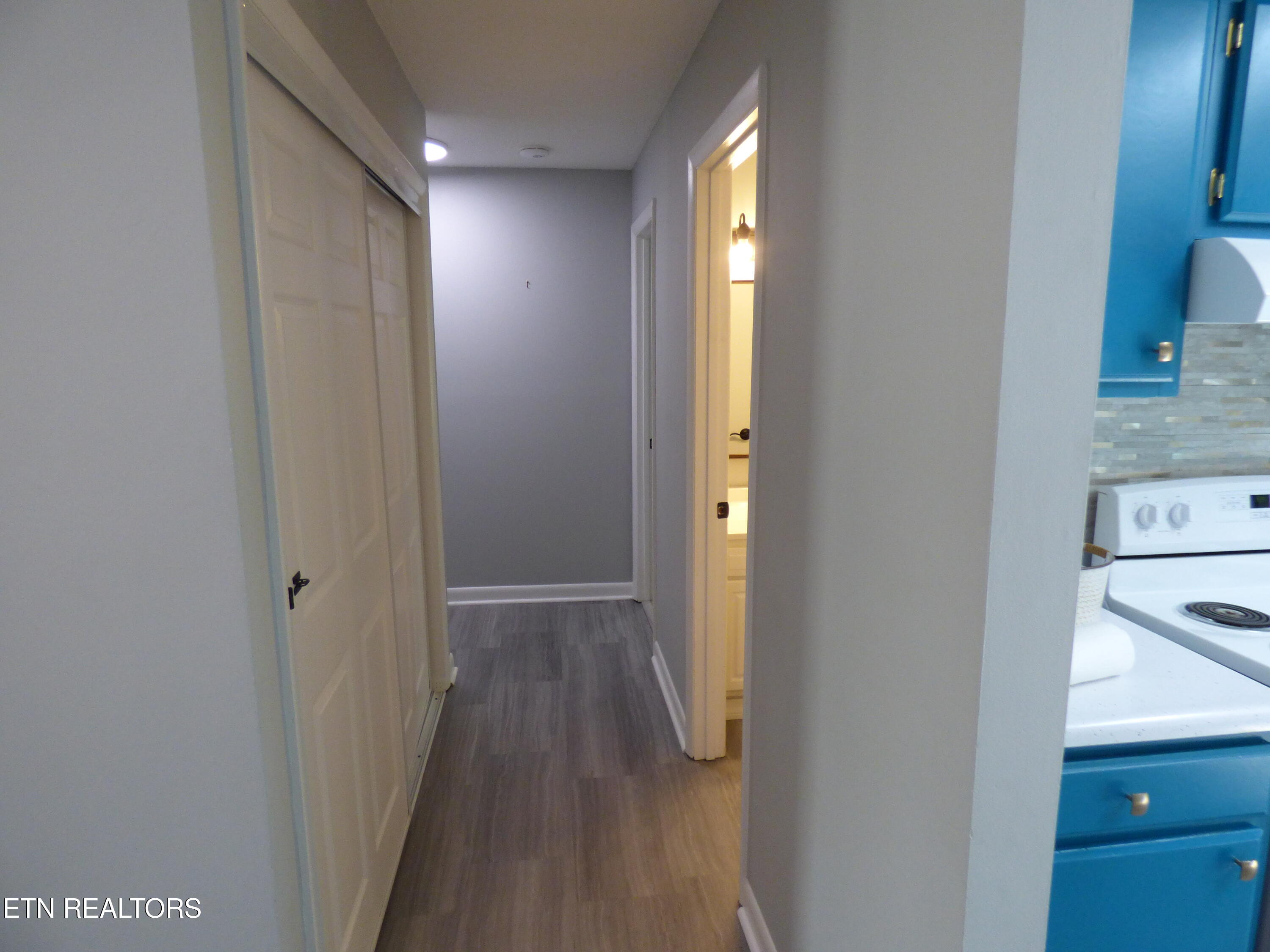 153 Travis Drive Spring City, TN 37381 - Photo 8 of 45 P1080895
