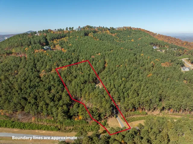 a living room with furniture a fireplace and a large window