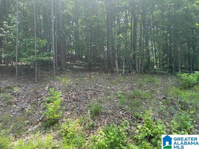 62 Bluebird Lane, Unit 11 Springville, AL 35146 - Photo 3 of 8