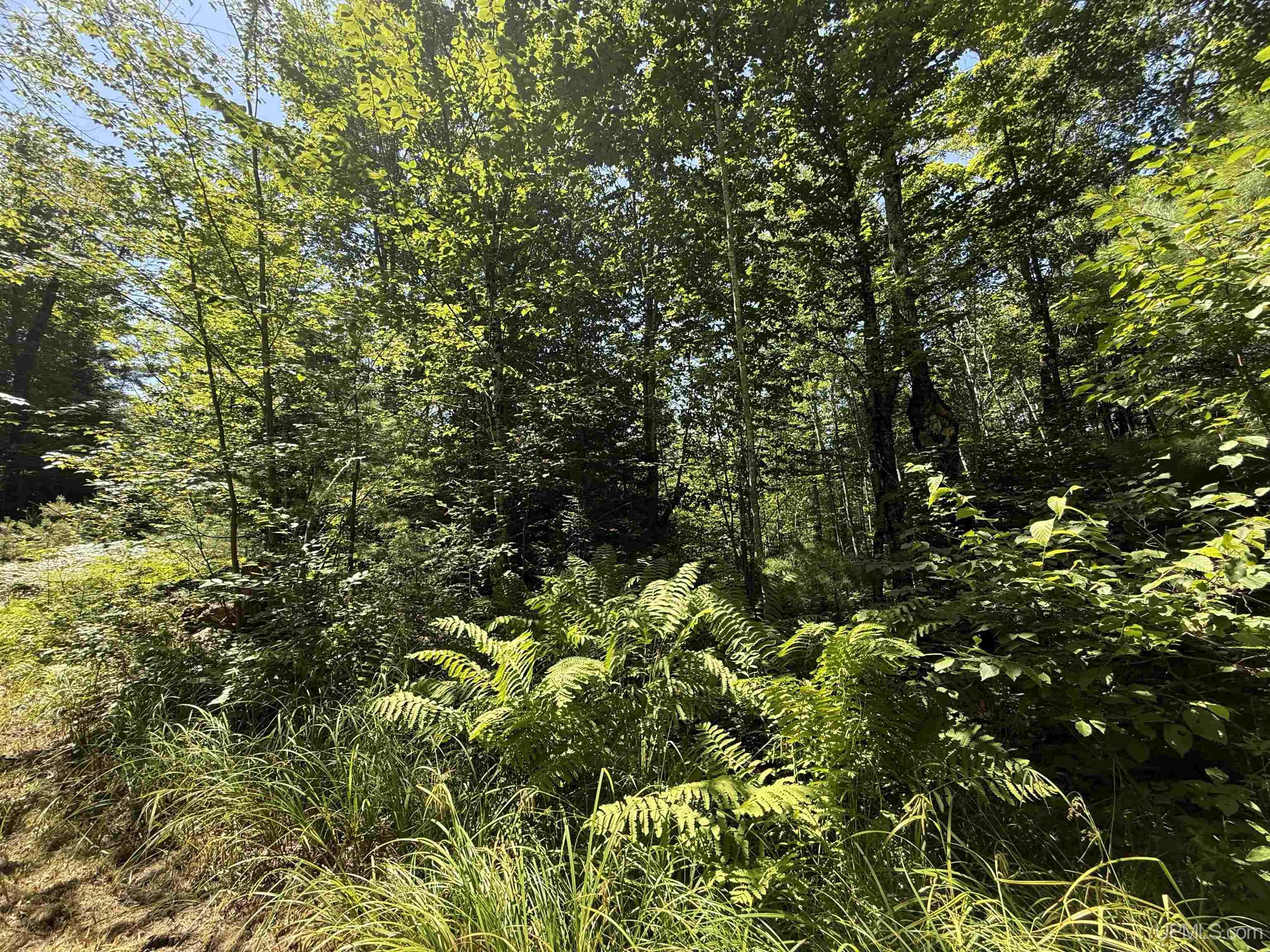 33.85-acres East Cable Lake Road Crystal Falls, MI 49920 - Photo 10 of 13