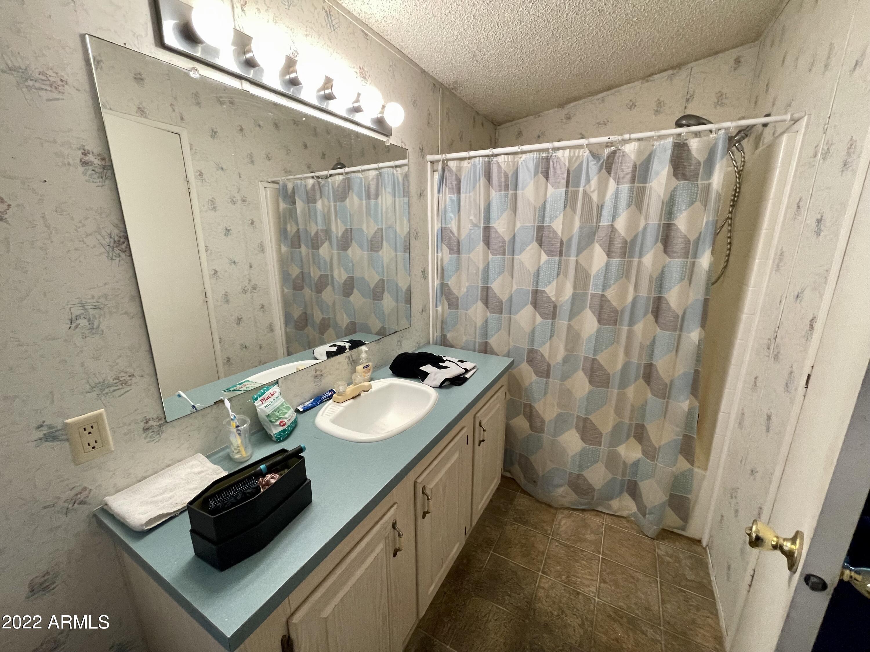 19229 North Pierson Road Sun City, AZ 85373 - Photo 11 of 16 Master Bath
