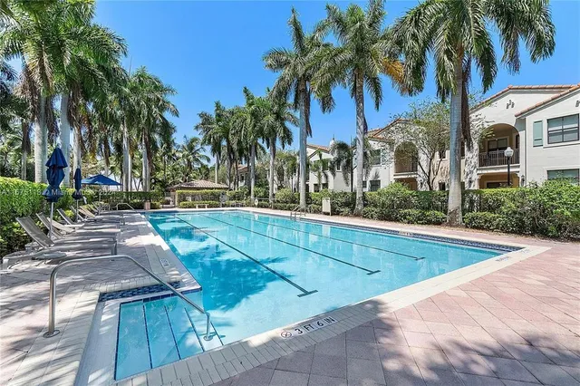 a view of backyard with swimming pool and palm trees