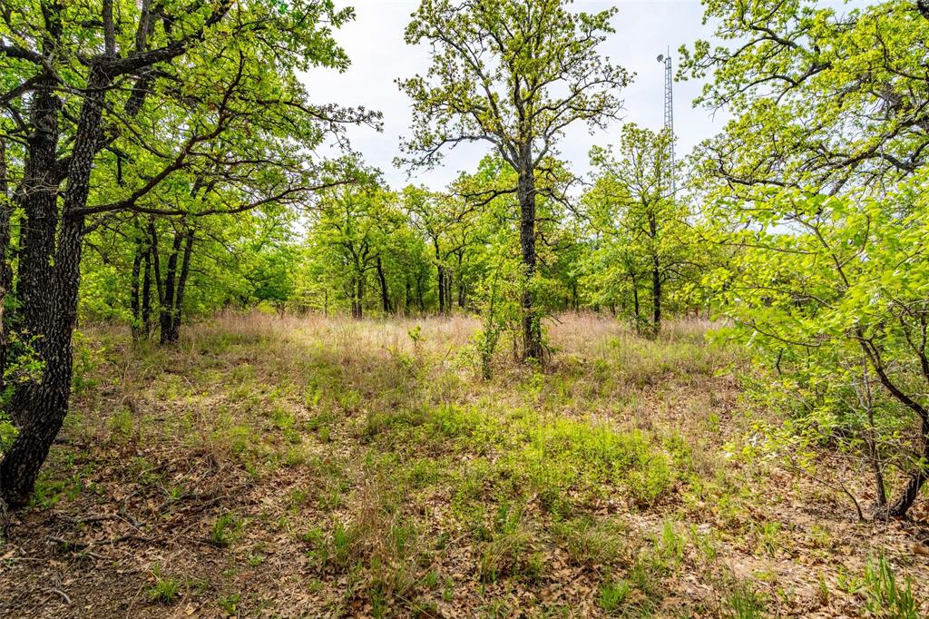 685 County Road 3673 Springtown, TX 76082 - Photo 22 of 24