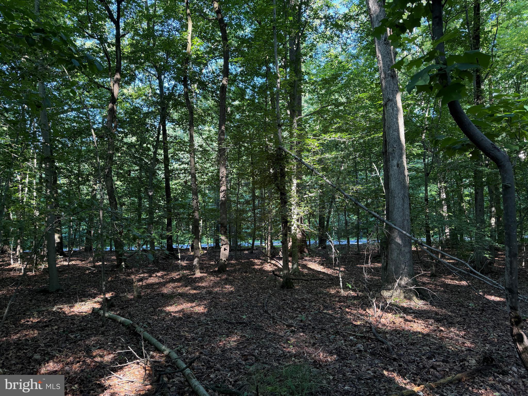 0 Rock Springs Road Conowingo, MD 21918 - Photo 64 of 79