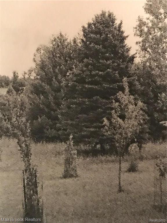 0 33 Mile Road Romeo, MI 48065 - Photo 1 of 2