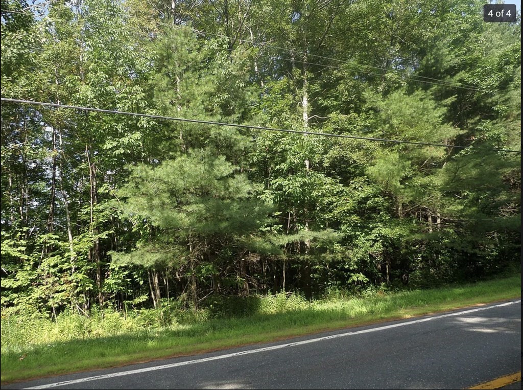 Lot C Huntington Road Worthington, MA 01098 - Photo 2 of 3 Gallery Image 2
