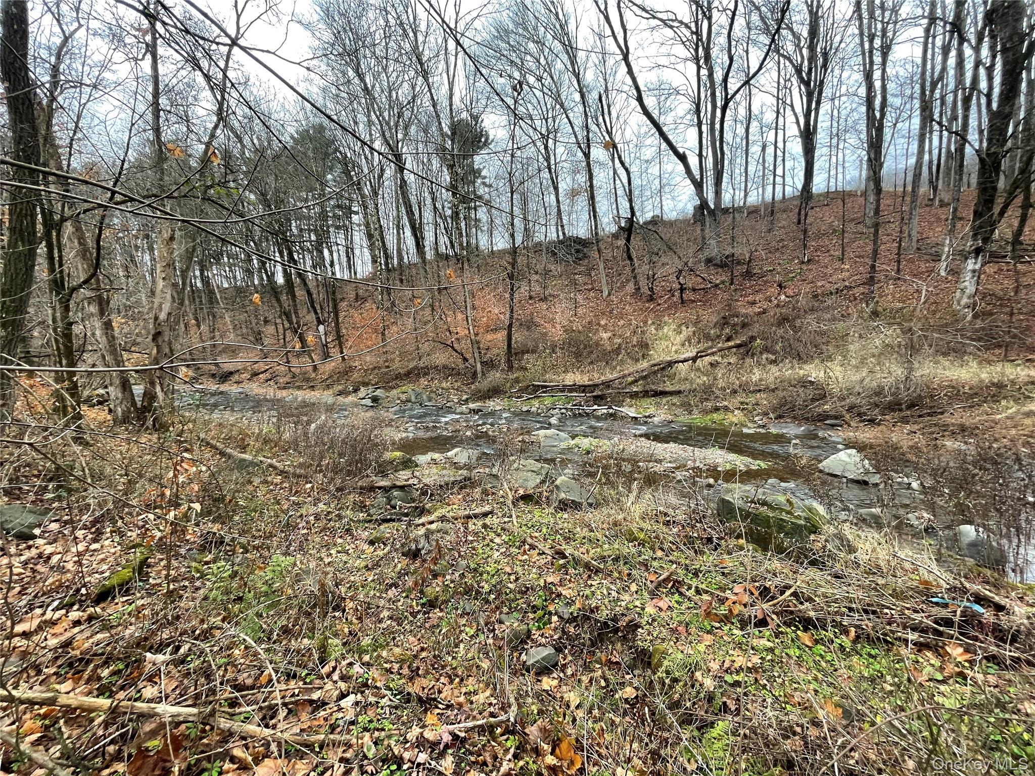 865 North Branch Road Callicoon, NY 12766 - Photo 15 of 15 View of creek in back yard