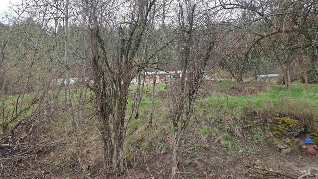 $42,000 | 43 Peck Id 83545, Peck, ID 83545