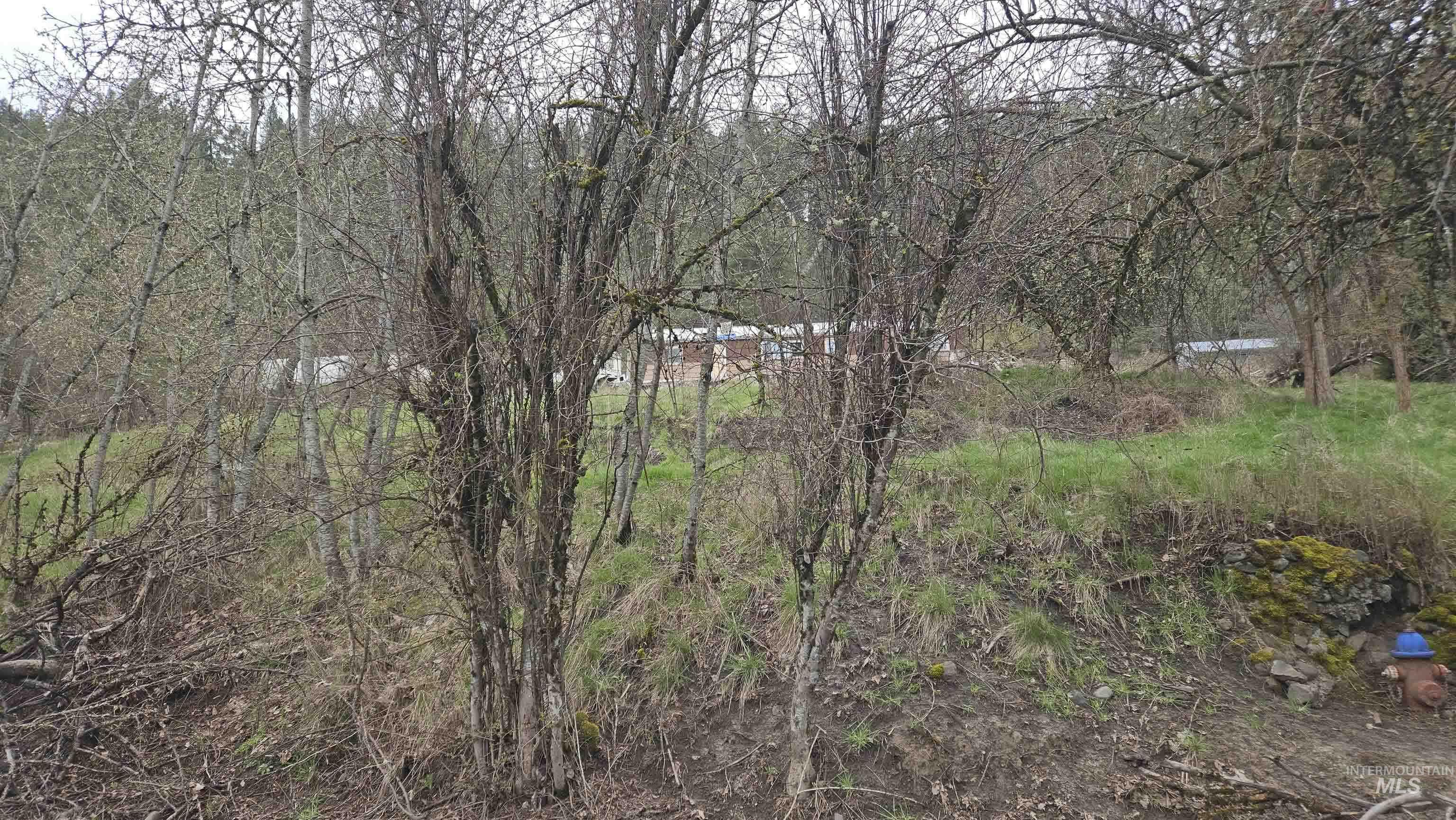 43 Peck Id 83545 Peck, ID 83545 - Photo 1 of 2