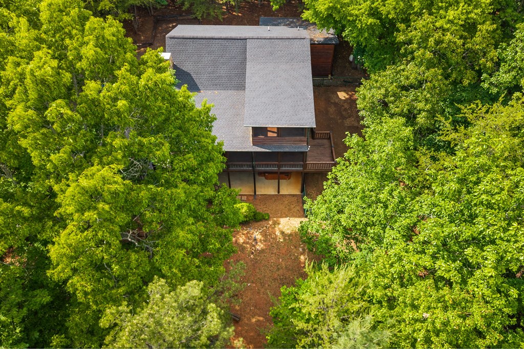 220 Blue Ridge Trail Morganton, GA 30560 - Photo 54 of 58
