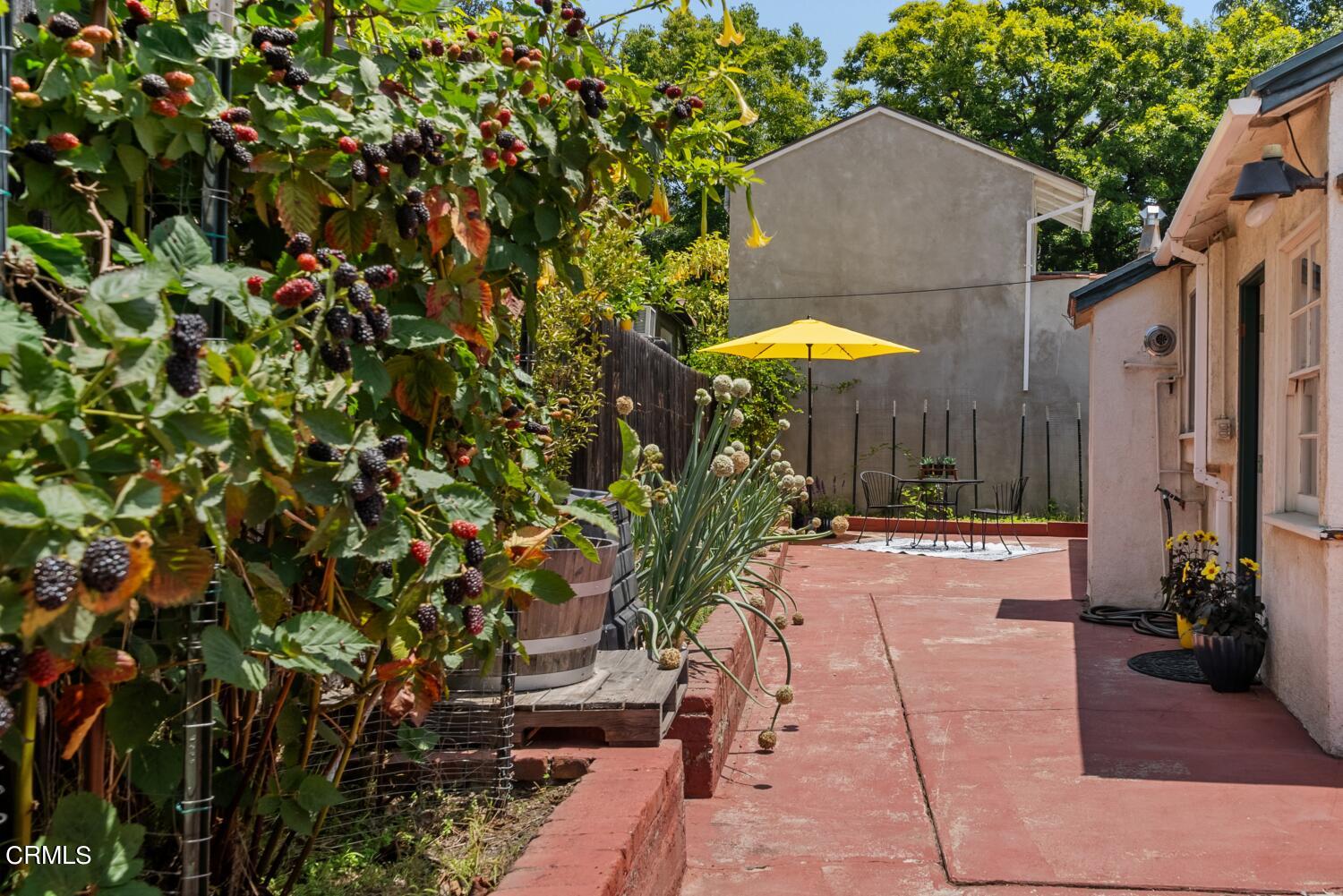 1807 Alpha Road Glendale, CA 91208 - Photo 18 of 26 a view of a backyard with sitting area