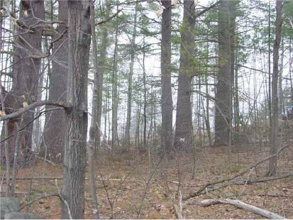 0 Old Francestown Road Weare, NH 03821 - Photo 1 of 1