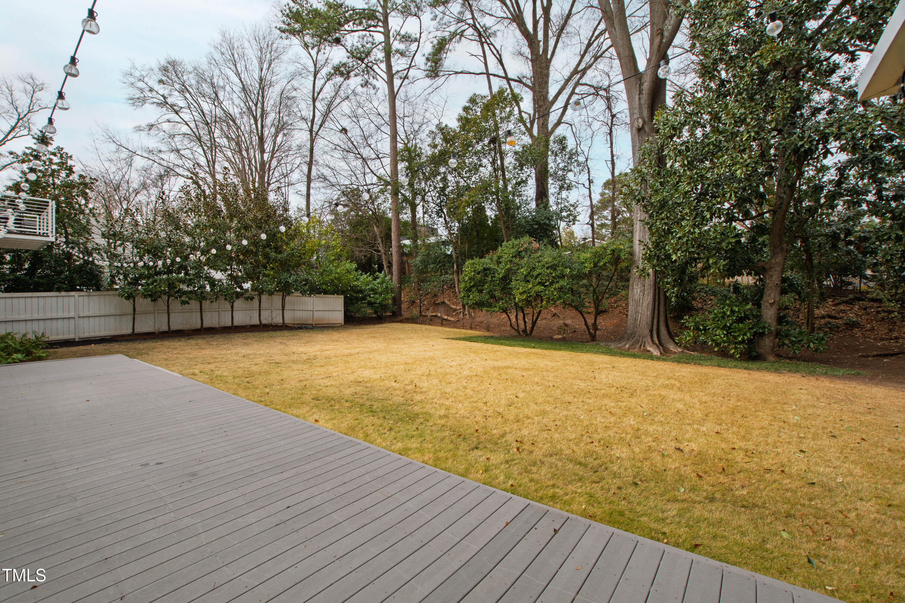 817 Bryan Street Raleigh, NC 27605 - Photo 48 of 52 Bryan (60)