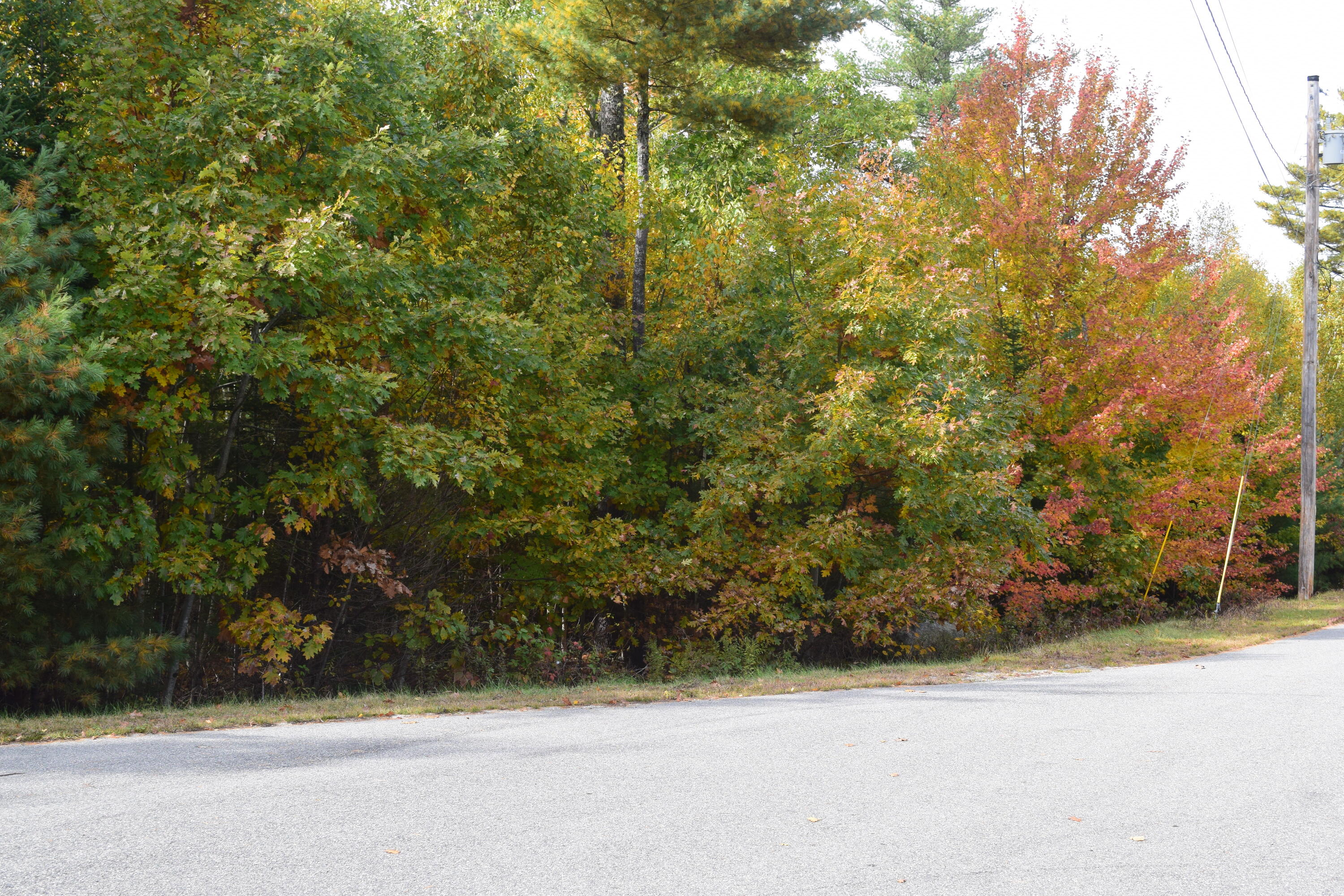 Lot 11 Surry Ridge Surry, ME 04684 - Photo 12 of 14 DSC_0537