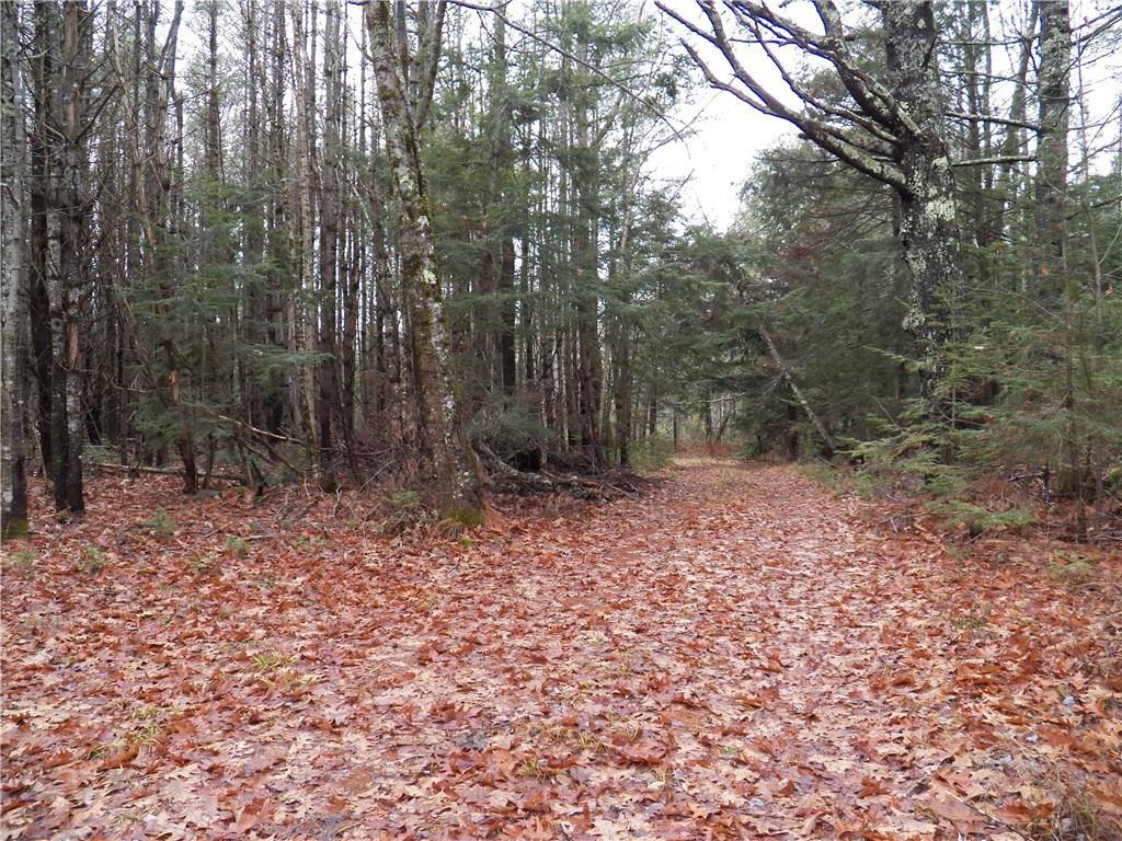 0 Nickerson Road Searsport, ME 04974 - Photo 4 of 6 Photo