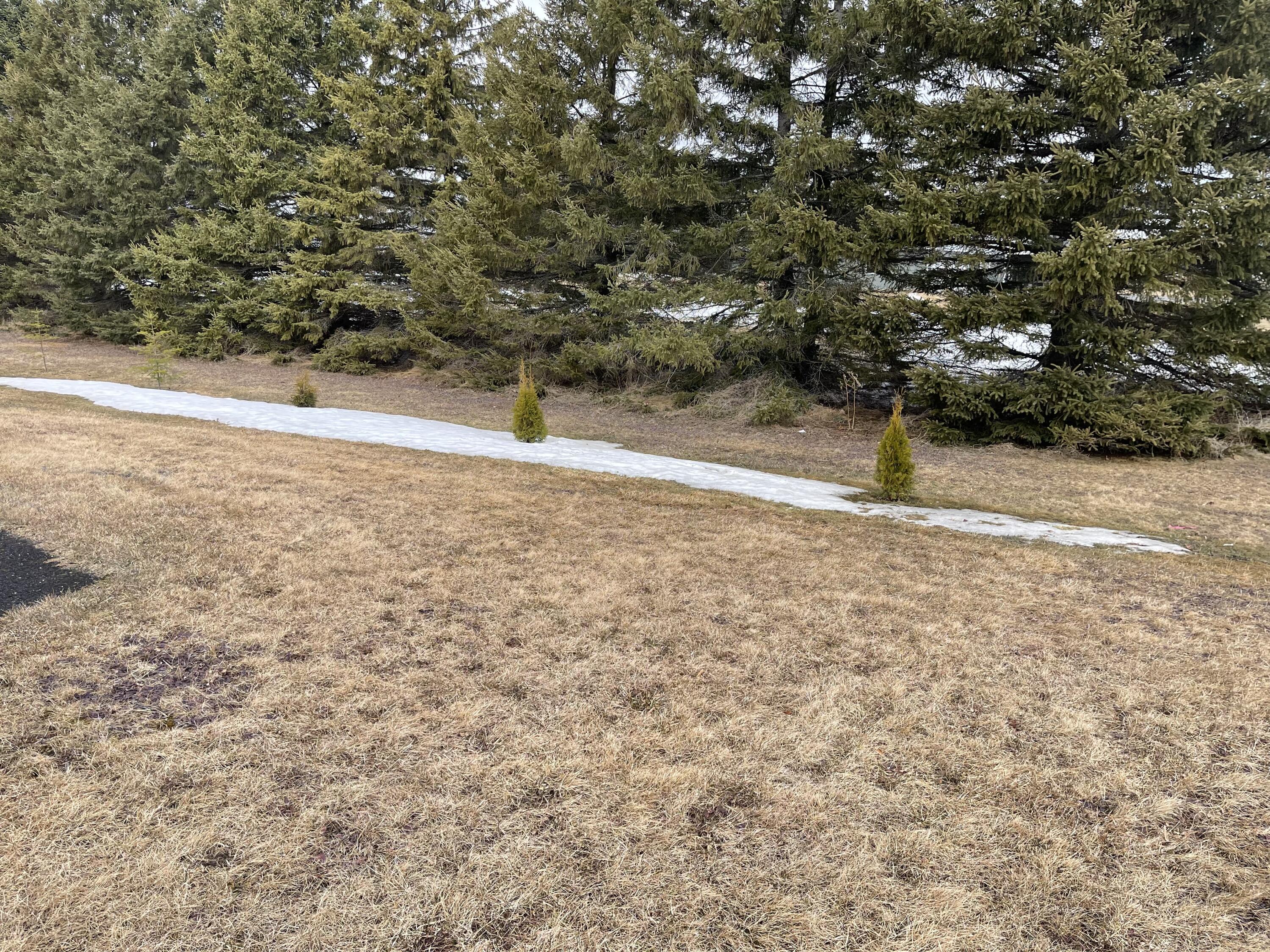 150 Lombard Road Caribou, ME 04736 - Photo 6 of 69 IMG_7833