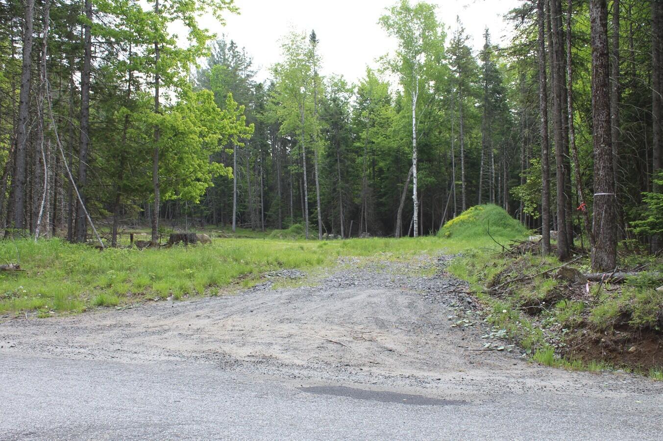 132 Fred Gay Road Indian Lake, NY 12842 - Photo 7 of 7 12