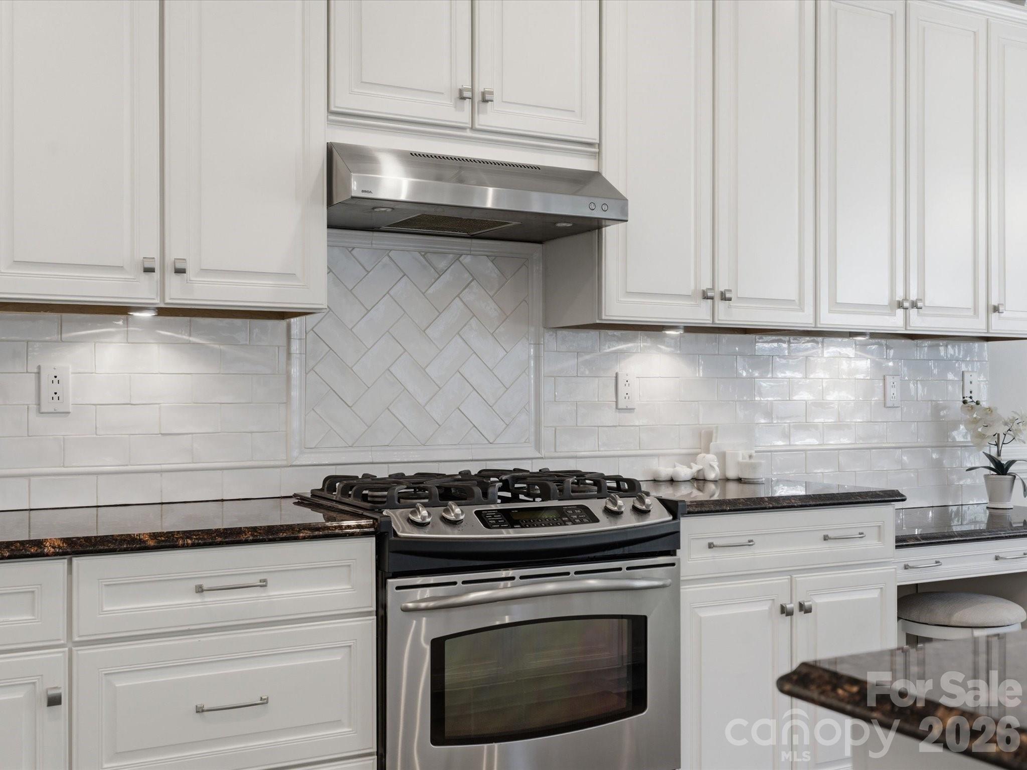 1026 Spanish Moss Road Indian Trail, NC 28079 - Photo 14 of 44 a kitchen with granite countertop white cabinets and appliances