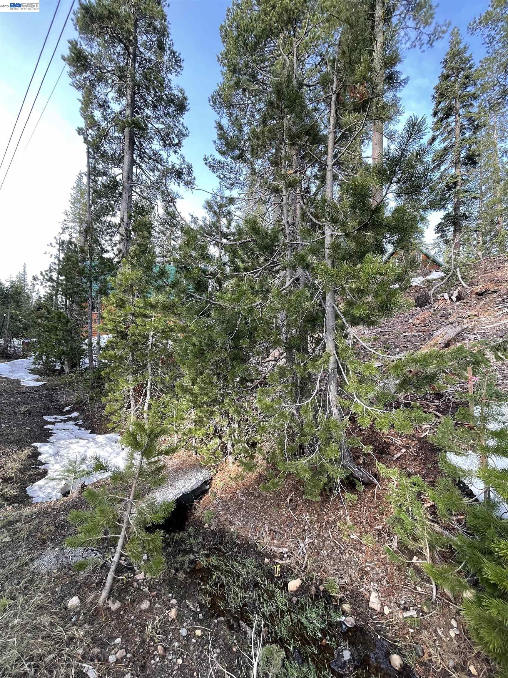 7217 Palisade Road Soda Springs, CA 95728 - Photo 8 of 11