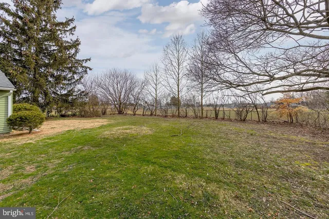 a view of yard with trees