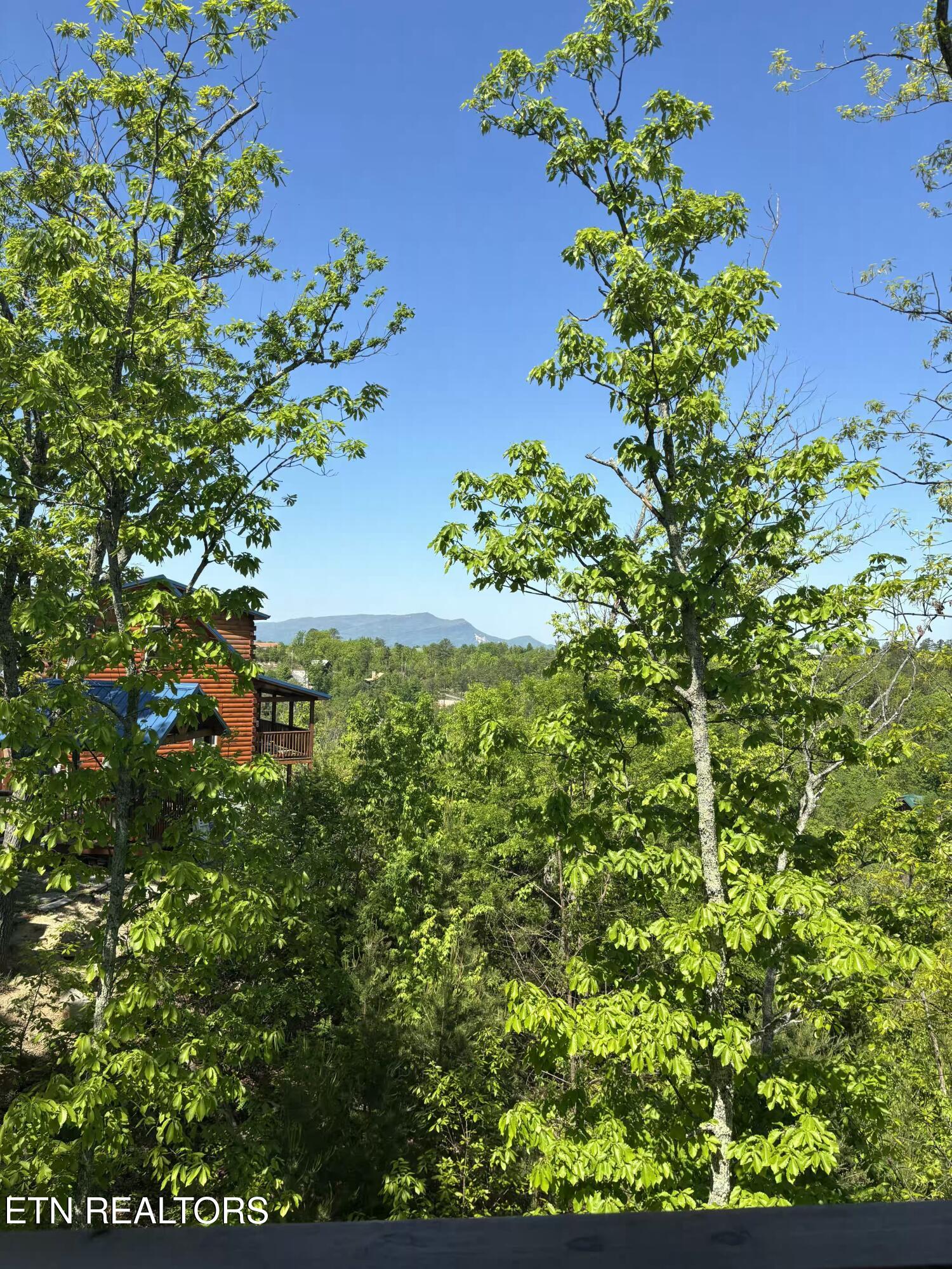 1974 Timber Ridge Way Sevierville, TN 37876 - Photo 25 of 29 IMG_4759