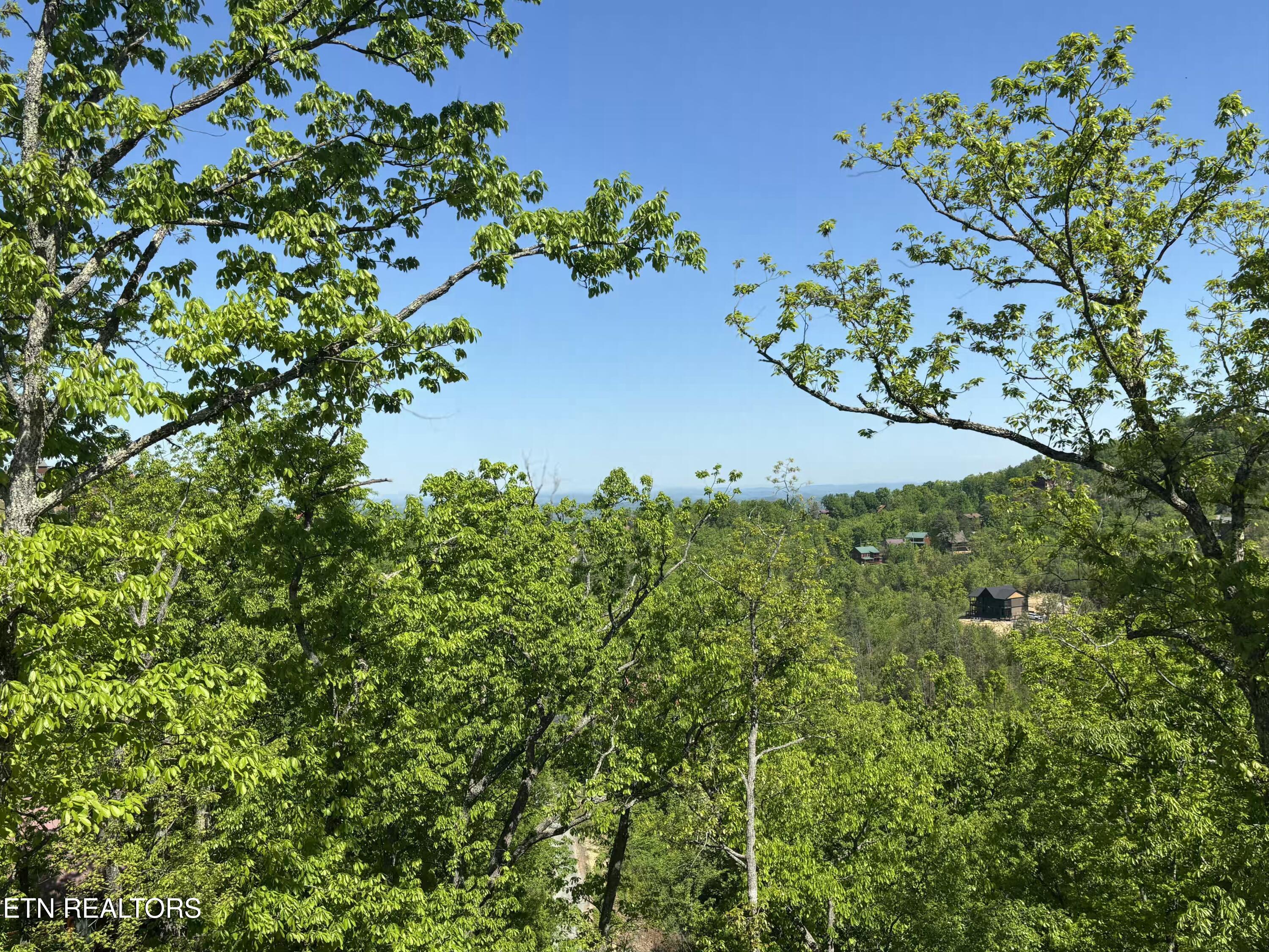 1974 Timber Ridge Way Sevierville, TN 37876 - Photo 27 of 29 IMG_4744