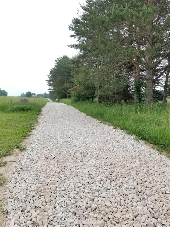 Parcel N Weller Gregory, MI 48137 - Photo 24 of 26