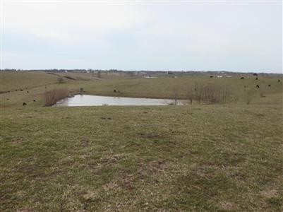435 Stone Road Paris, KY 40361 - Photo 21 of 23 Pond # 3. Stocked per seller. Great pi