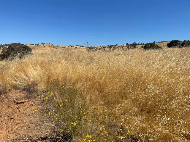 a view of mountain with sunset view