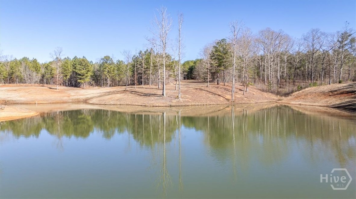 2942 Salem Road Watkinsville, GA 30677 - Photo 71 of 74
