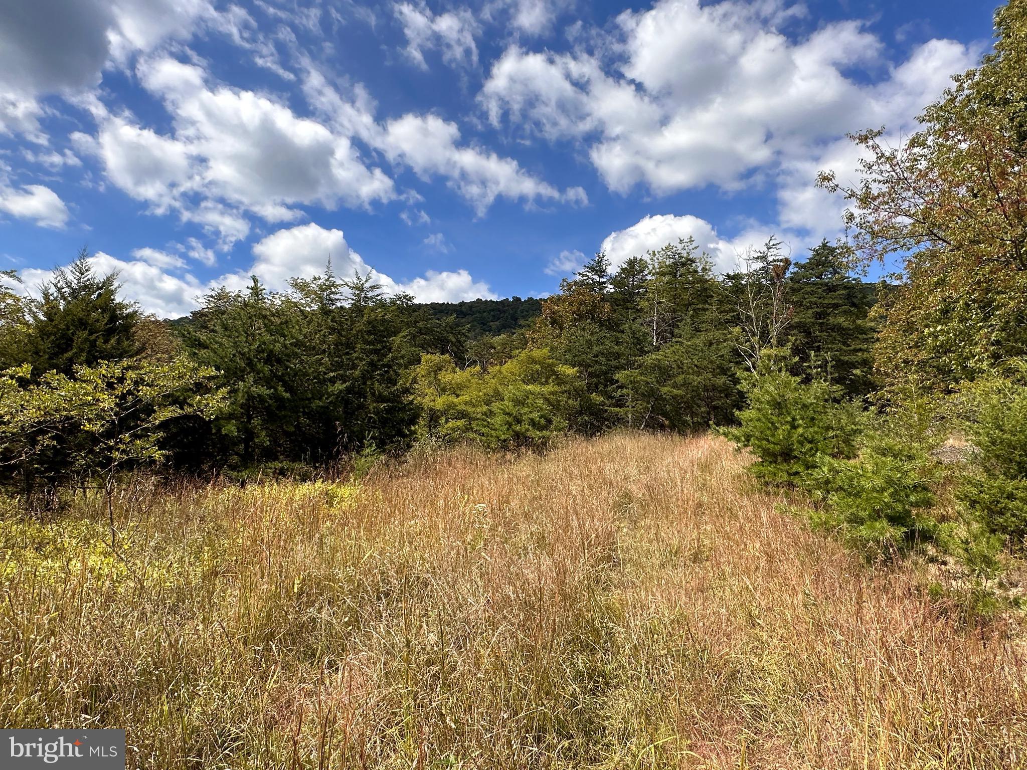 Knobley Road Keyser, WV 26726 - Photo 7 of 19