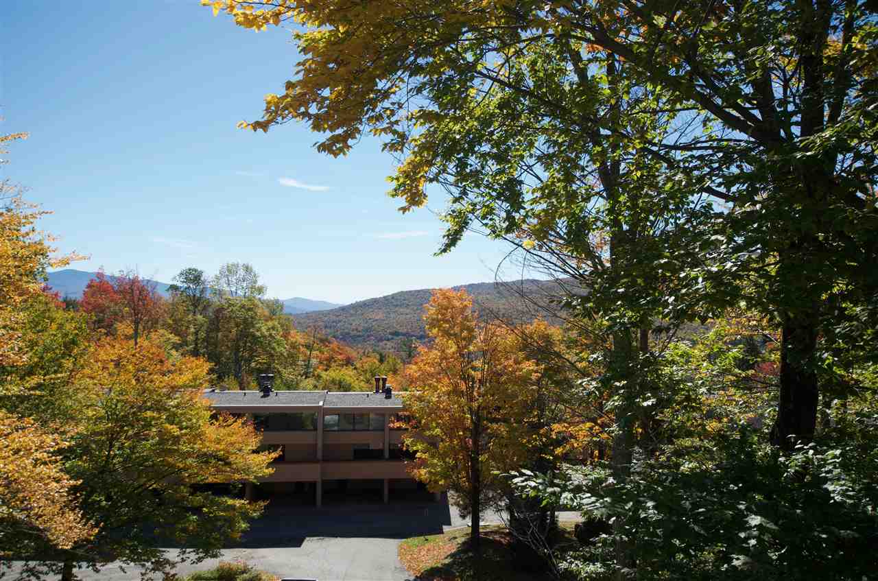 1275 Notchbrook Road, Unit 19AB Stowe, VT 05672 - Photo 19 of 20 Gallery Image 19