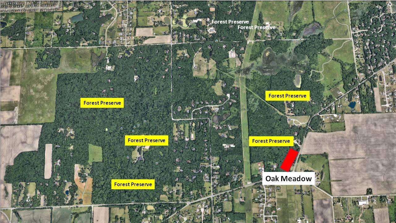 12940 West Hadley Road Homer Glen, IL 60491 - Photo 4 of 9