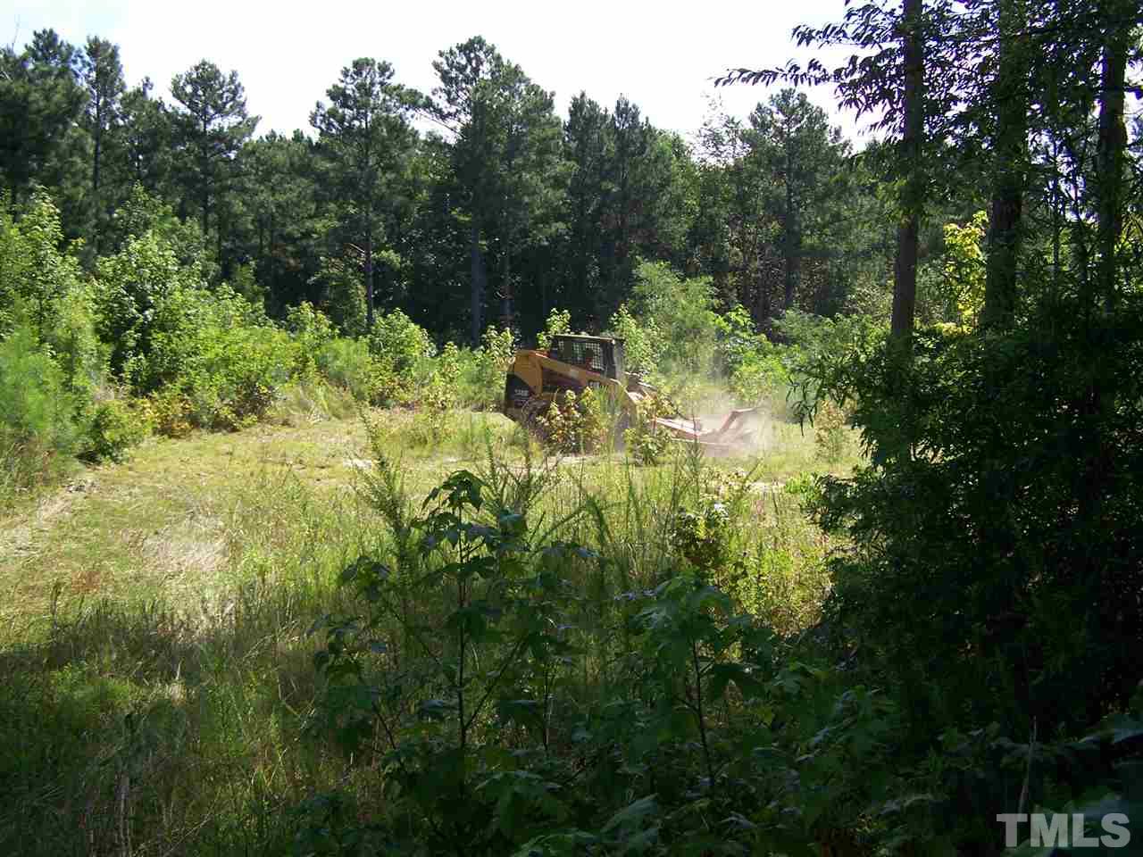 109 Rock Spring Church Road Henderson, NC 27537 - Photo 4 of 4 a view of a forest with trees