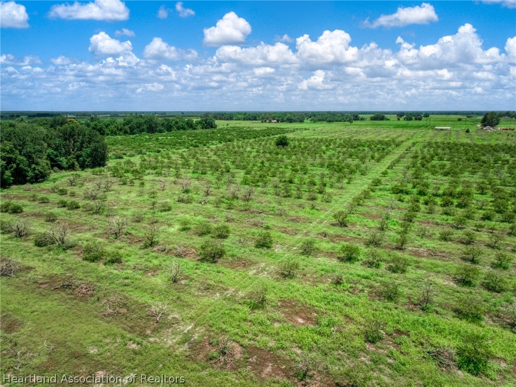Stephens Road Wauchula, FL 33873 - Photo 3 of 7