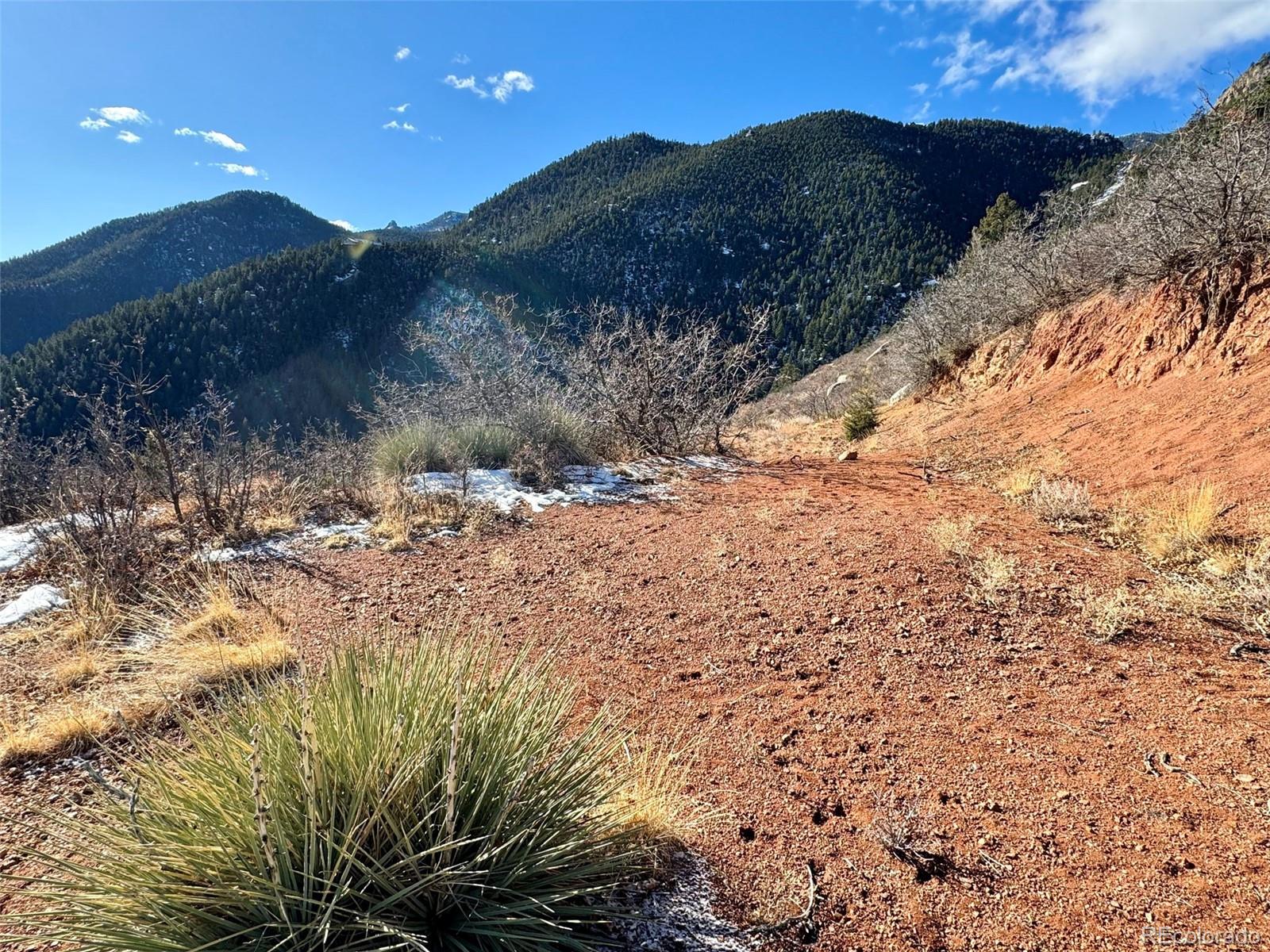 5198 Crystal Park Road Manitou Springs, CO 80829 - Photo 4 of 10 a view of a dry yard with mountains in the background
