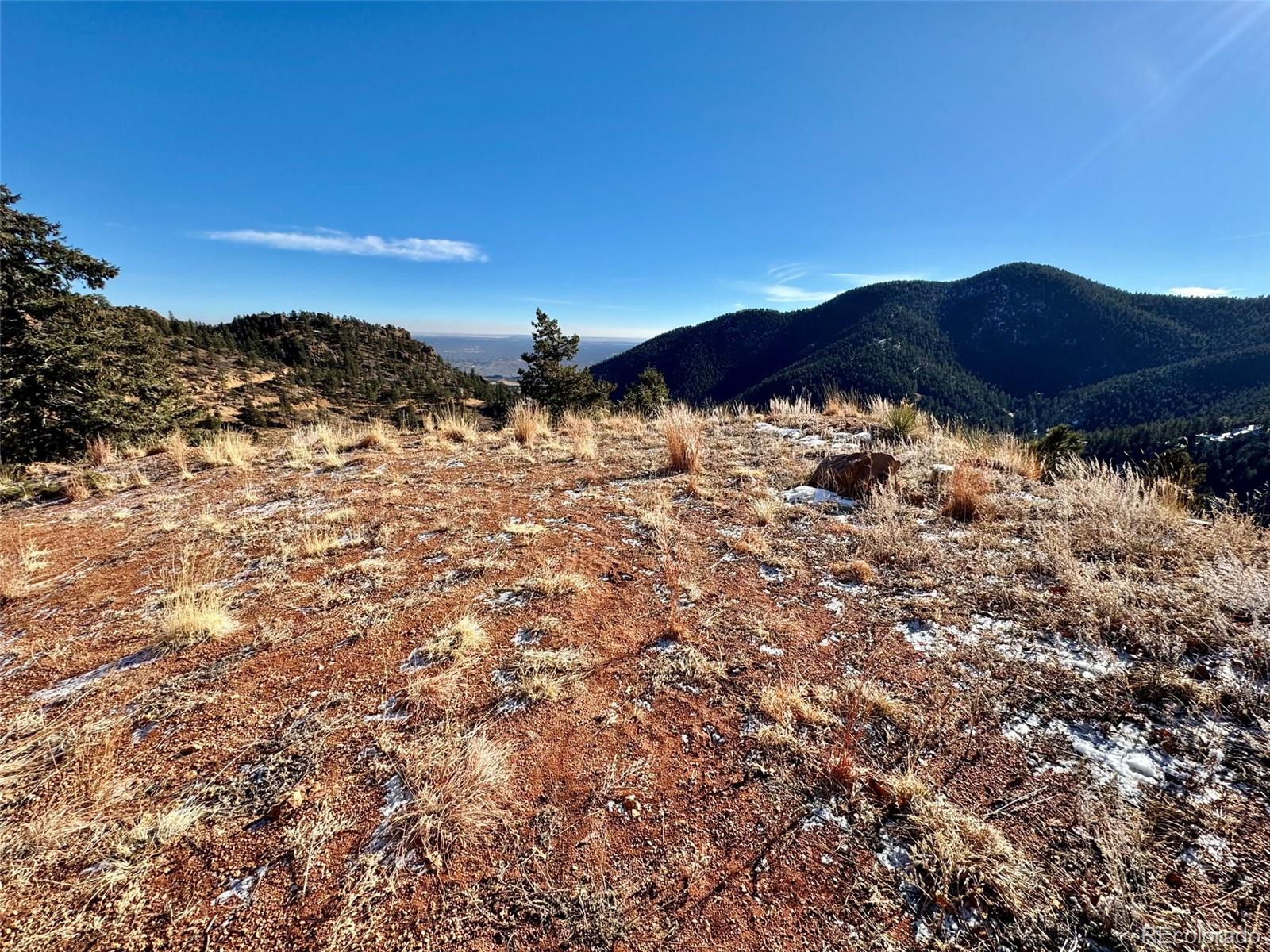 5198 Crystal Park Road Manitou Springs, CO 80829 - Photo 5 of 10 a view of a large tree with a mountain in the background