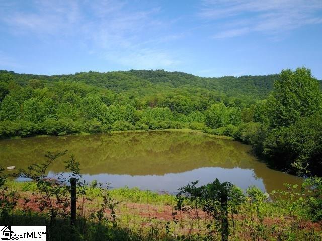 336 Right Fork Road Pickens, SC 29671 - Photo 23 of 23