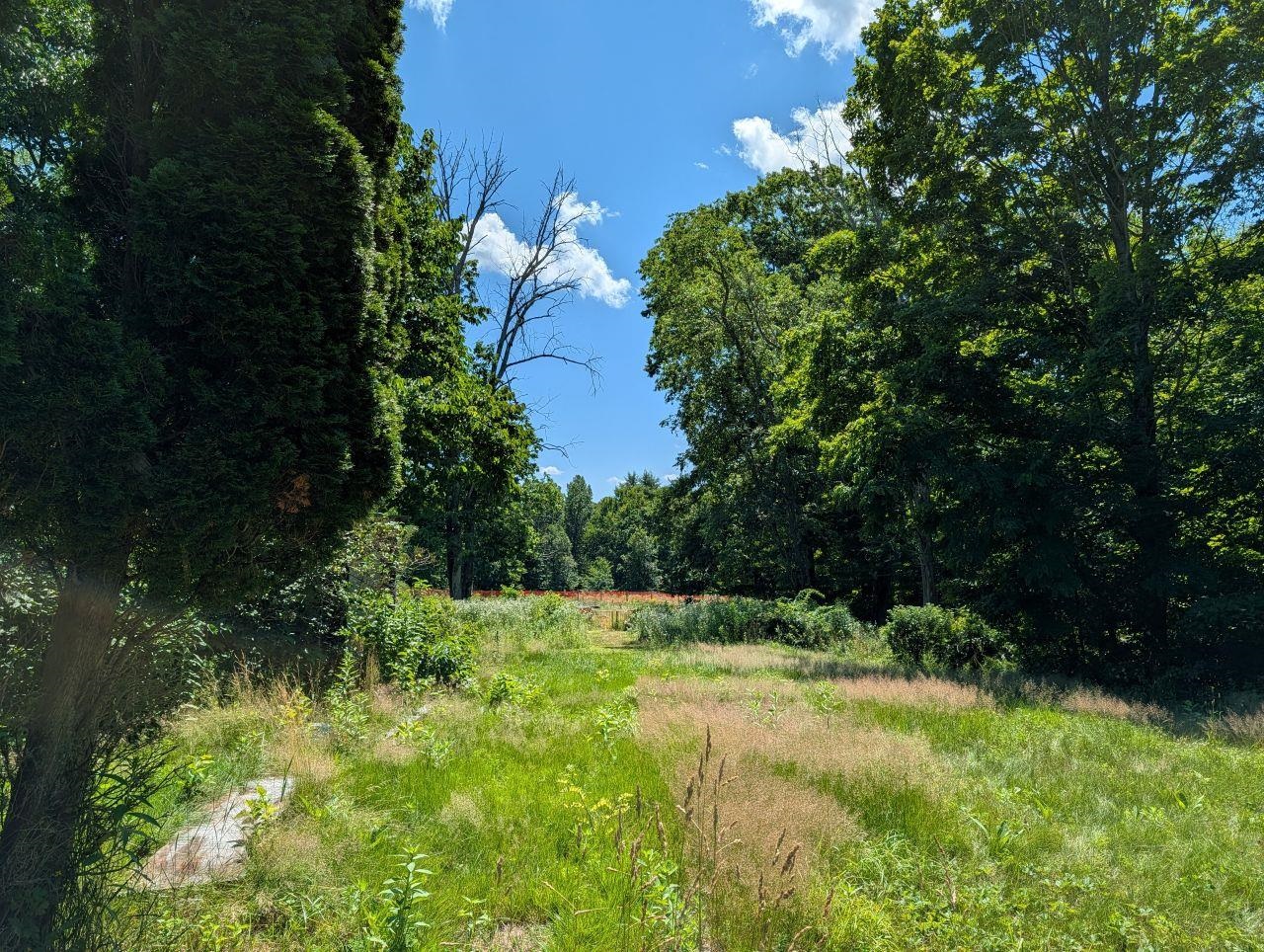 83 Lower Deerfield Road Northwood, NH 03261 - Photo 19 of 39 Gallery Image 19