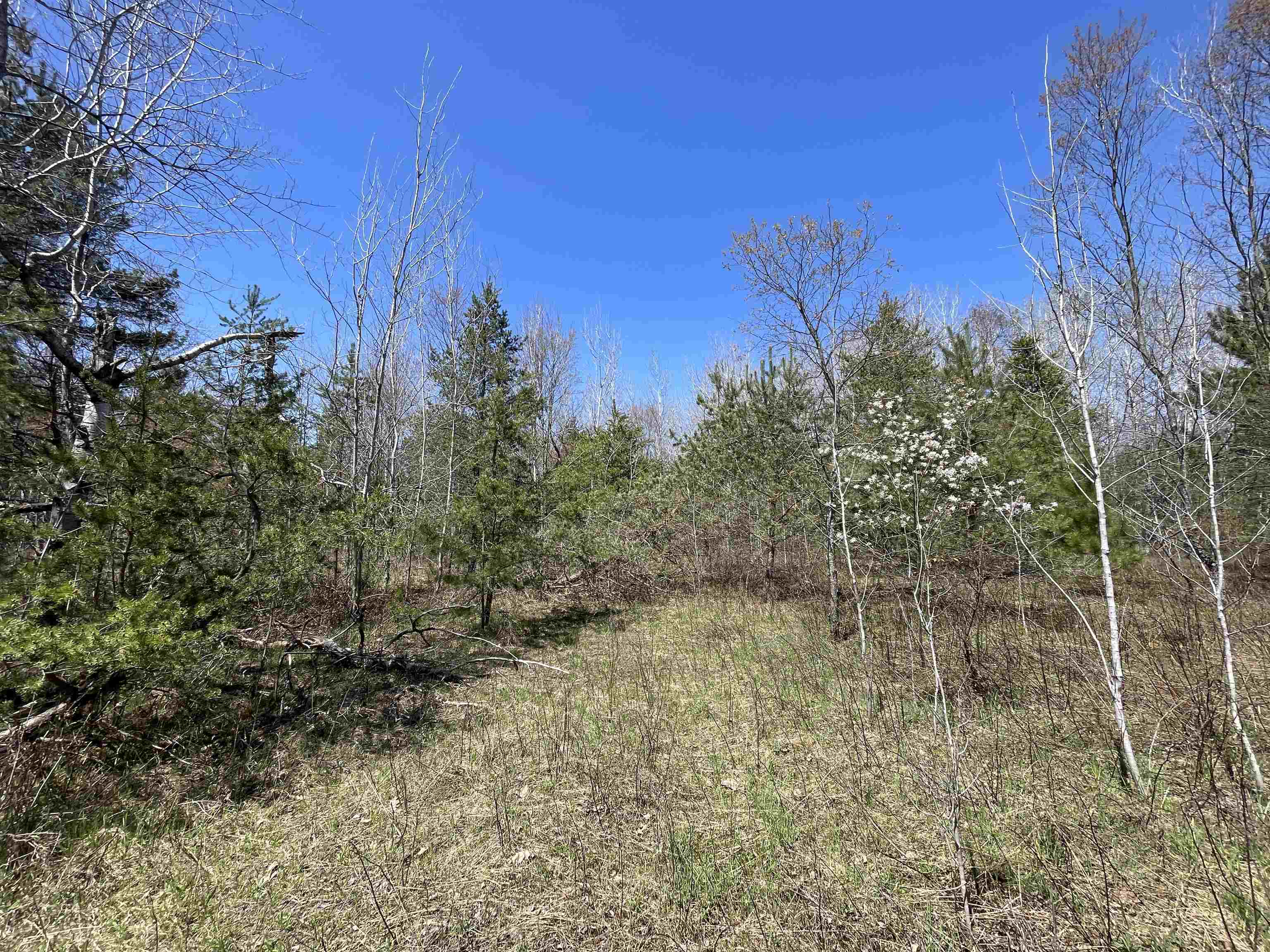 0 East 38 Road Cadillac, MI 49601 - Photo 38 of 39