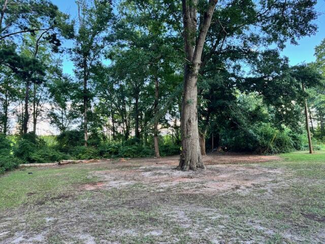 5173 Benenhaley Road Dalzell, SC 29040 - Photo 2 of 22