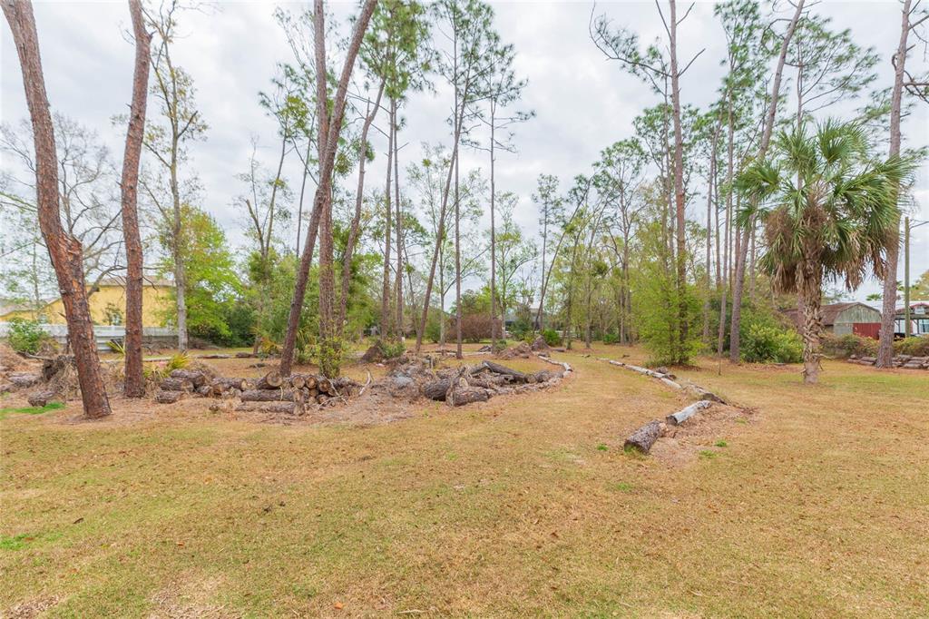4772 Drexel Road Land O' Lakes, FL 34638 - Photo 8 of 19 Gallery Image 8
