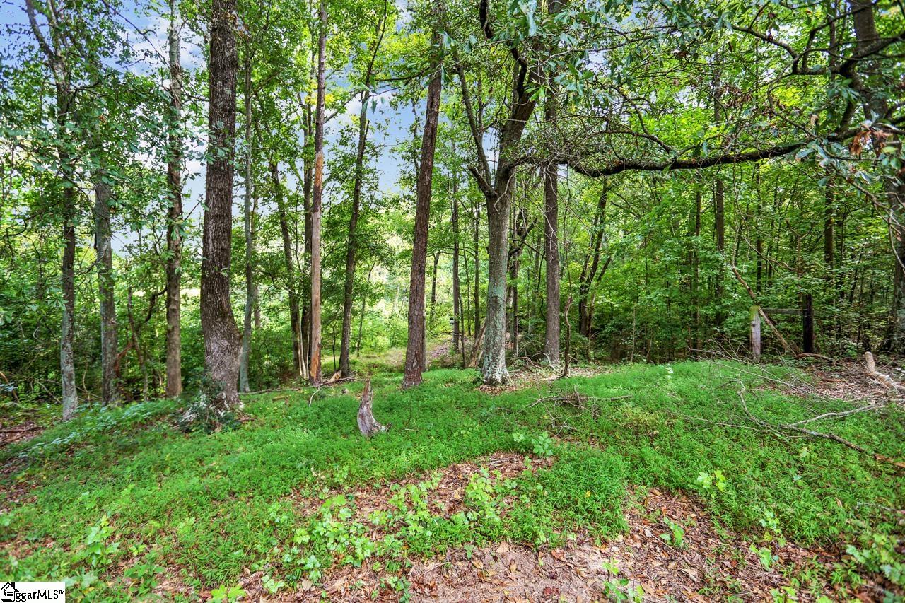 0 Lake Road Easley, SC 29642 - Photo 17 of 36 Gallery Image 17