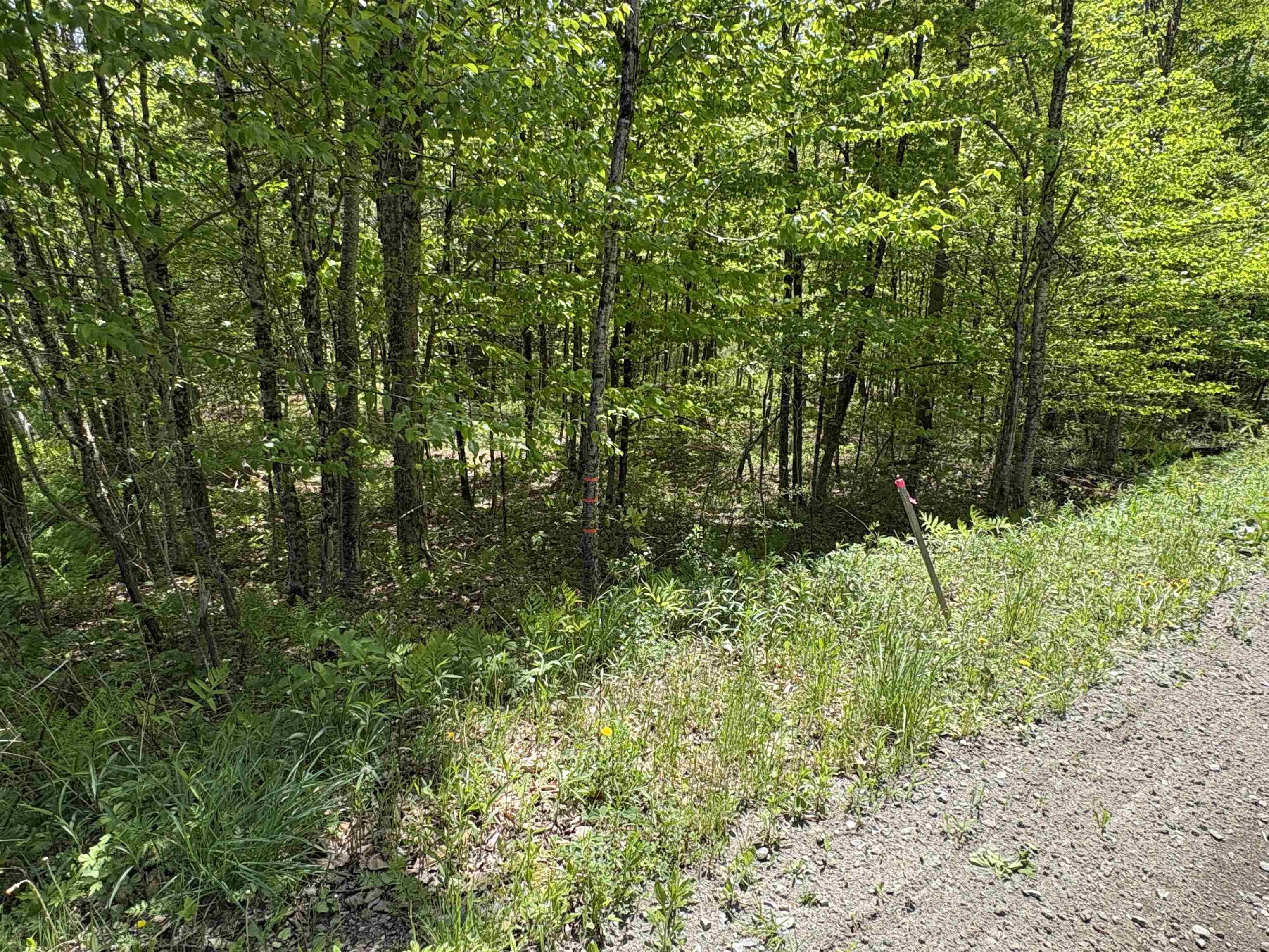 0 Bear Hill Road Randolph, VT 05060 - Photo 14 of 15