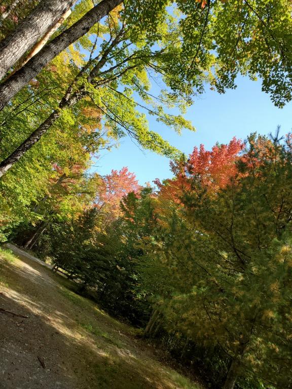 190 East Madrid Road Phillips, ME 04966 - Photo 34 of 42 20190922_121802MLS