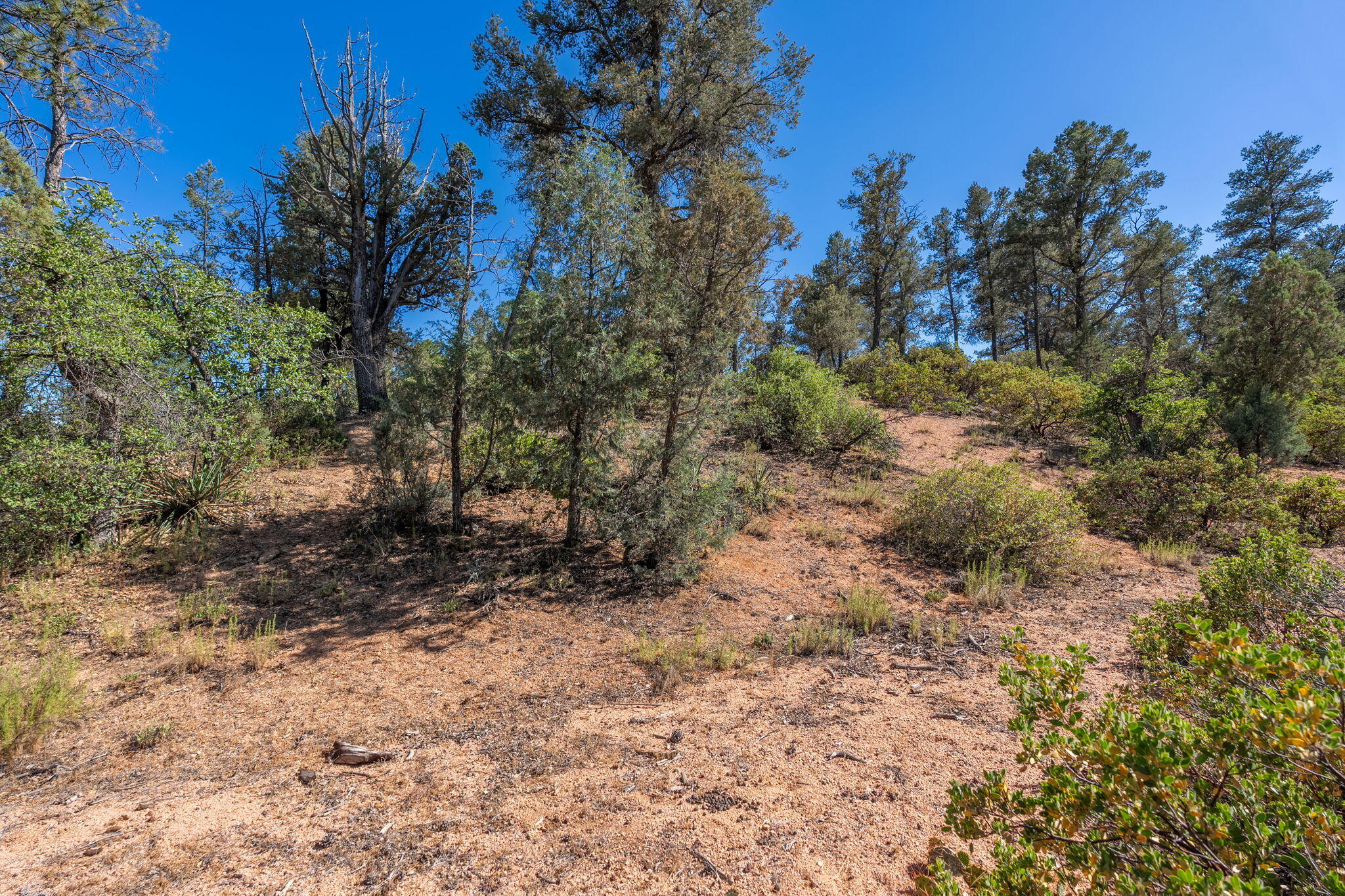 506 South Primeval Payson, AZ 85541 - Photo 28 of 48