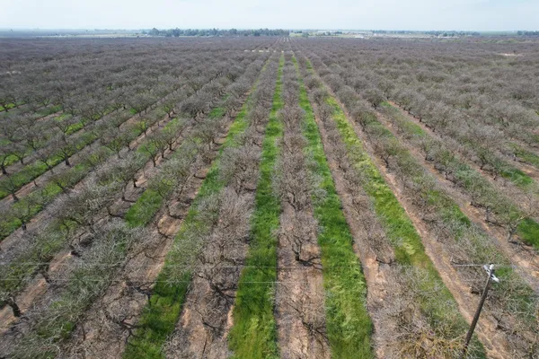 a view of a field with a mountain in the background
