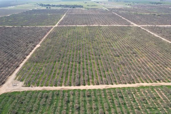 view of outdoor space and mountain view